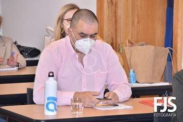 Pleno ordinario de diciembre de 2020/Francisco Javier Santana.